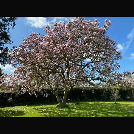 L Ecaillette Σπίτι διακοπών *